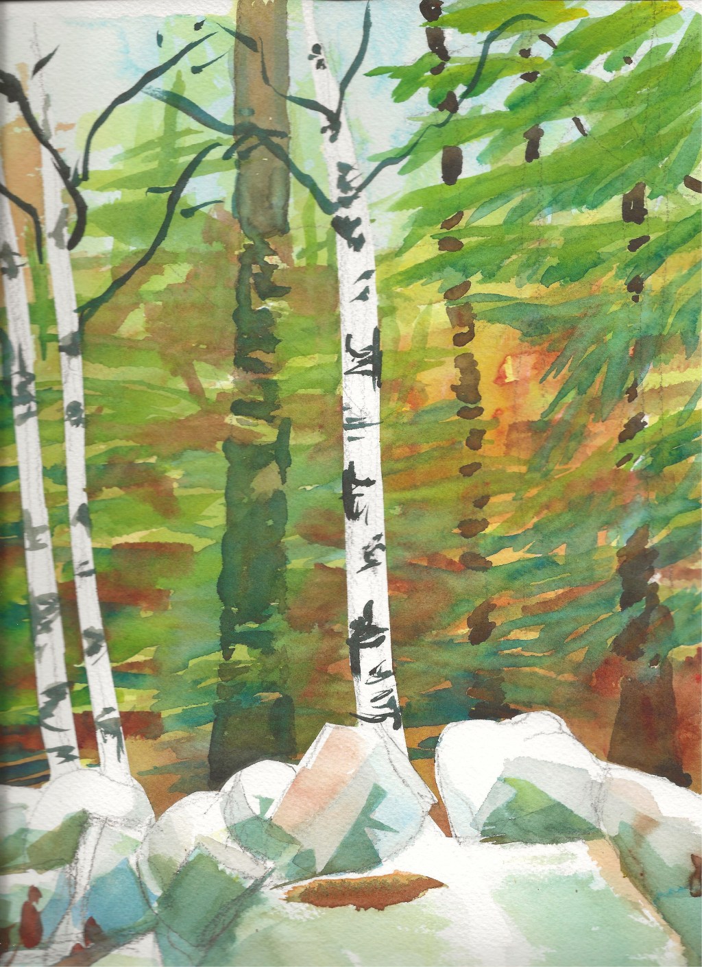 Birch and Stone&nbsp;Wall